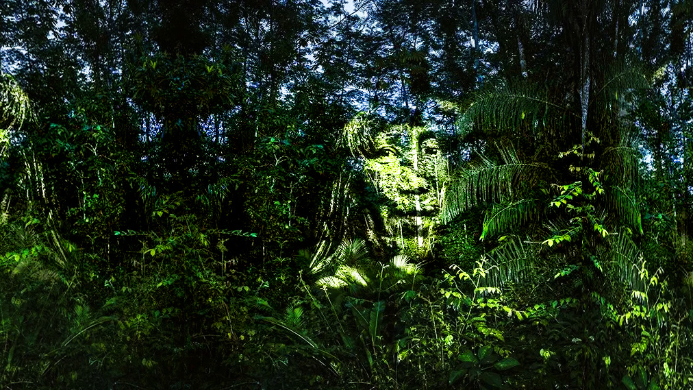 Seres da Floresta - Rito c/ Ayahuasca - Relaxamento e Meditação