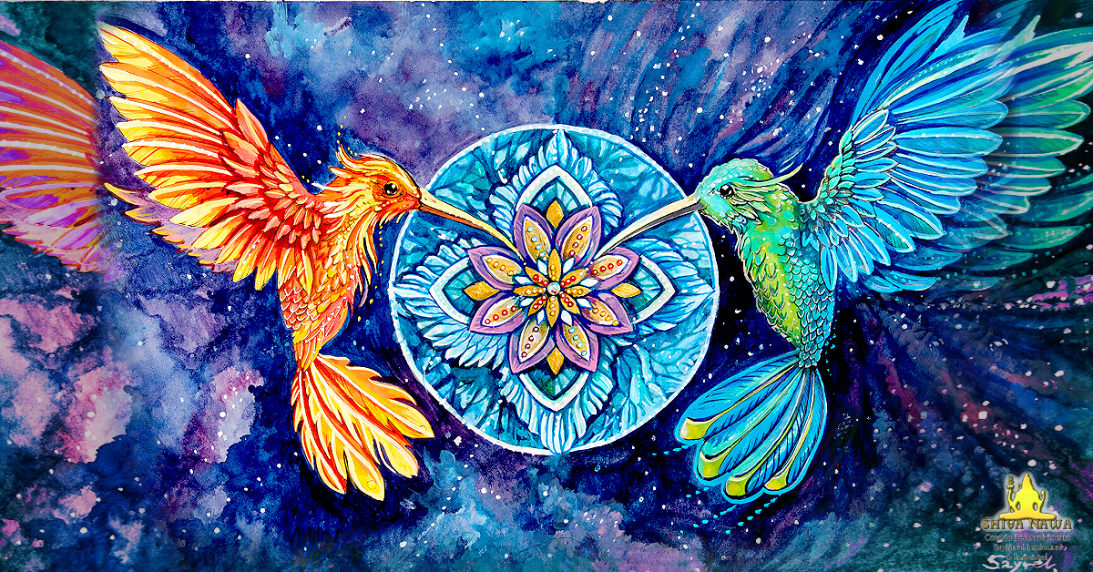 Cura do Beija Flor - Rito c/ Ayahuasca - Relaxamento & Meditação