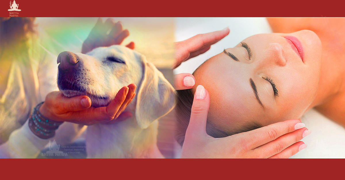 Reiki, Pet Reiki e Reposição Energética - Gratuito